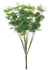 EUCALYPTUS BUNCH GREEN LONG STEM